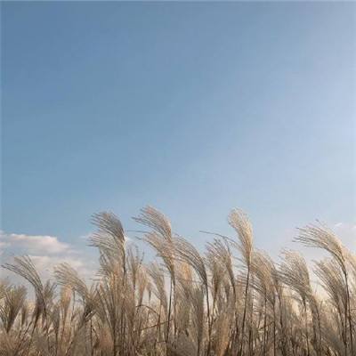 太空尽头vr游戏下载